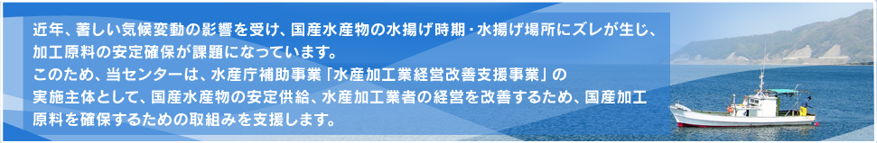 近年、著しい気候変動の影響を受け、国産水産物の水揚げ時期・水揚げ場所にズレが生じ、加工原料の安定確保が課題になっています。このため、当センターは、水産庁補助事業「水産加工業経営改善支援事業」の実施主体として、国産水産物の安定供給、水産加工業者の経営を改善するため、国産加工原料を確保するための取組みを支援します。